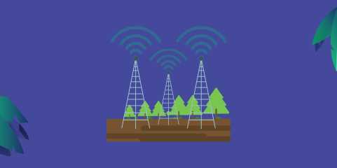 Telco trends of 2024: hiring for digital transformation